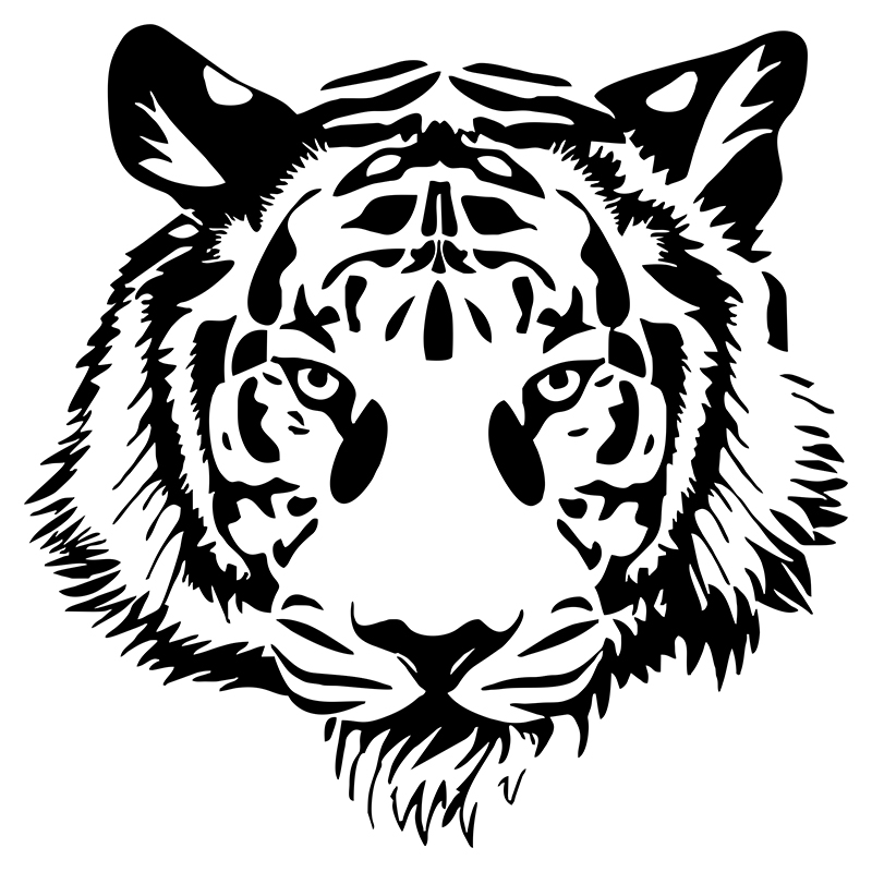 G217 20*20CM POWERFUL TIGER HE - Interior Design Intern review and price